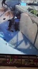 Yahudi yerleşimcilerden Kur'an-ı Kerim'e saldırı