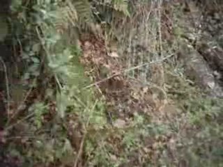 [enduro]pb de passage