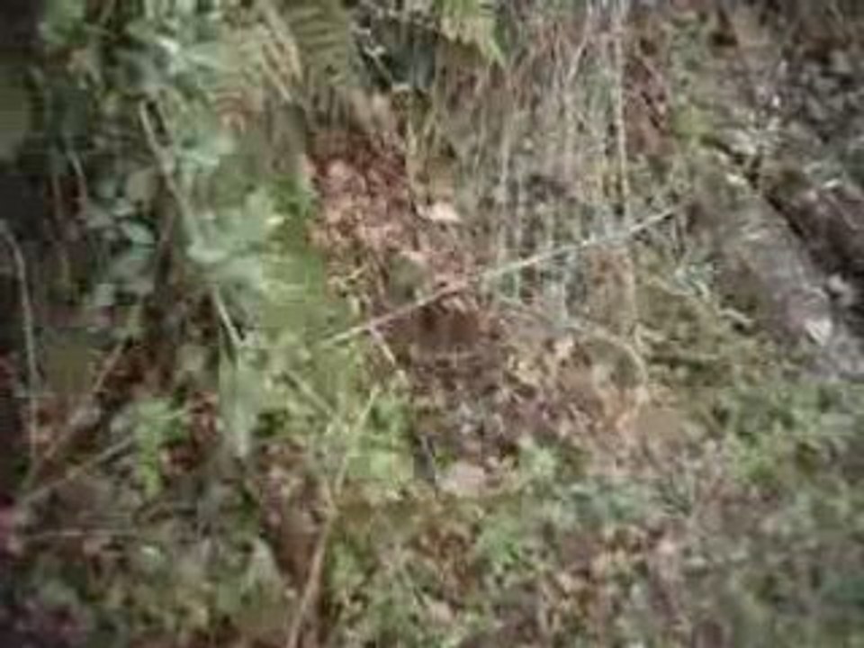 [enduro]pb de passage