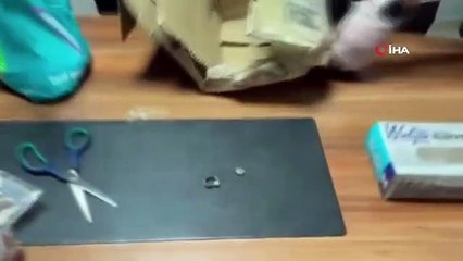 İstanbul'da tarihi eser operasyonu: 2 bin 330 eser ele geçirildi