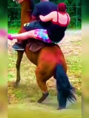 Top Funny Fails of 2023 Don't Miss End