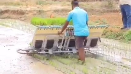 పరిగి: రైతులు అధునాతన పద్ధతులను పాటించాలి