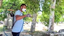 İzmir Büyükşehir Belediyesi, Sivrisinek Popülasyonu ile Mücadele Ediyor