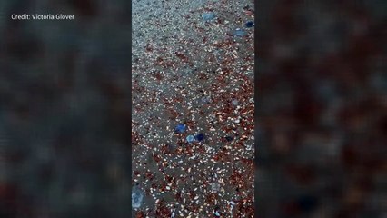 Sock as dead jellyfish wash up on Kent beach