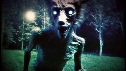 The Dogman Triangle Werewolves In The Lone Star State