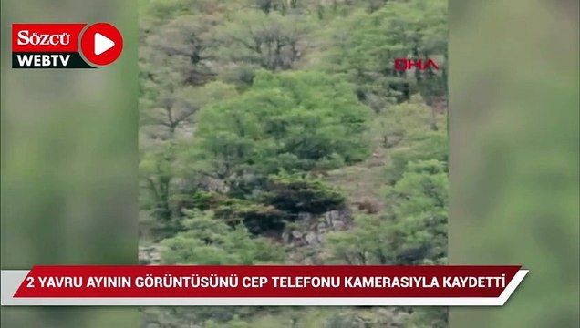 Doğada karşılaştığı 2 yavru ayının görüntüsünü cep telefonuyla kaydetti