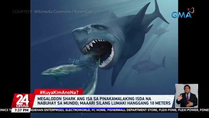 Megalodon shark ang isa sa pinakamalaking isda na nabuhay sa mundo; maaari silang lumaki hanggang 18 meters | 24 Oras