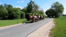 IMG_4845 Saint-Quentin-en-Tourmont (80), Espace Equestre Henson, chevaux Henson CLIP
