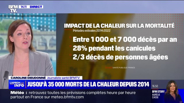 Sur les périodes estivales de 2014 à 2022, près de 33 000 décès sont attribuables à la chaleur indique Santé publique France