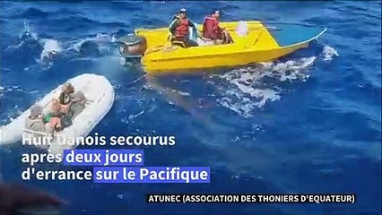 Huit Danois secourus après la collision de leur voilier avec une baleine dans le Pacifique