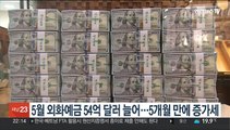 5월 외화예금 54억 달러 늘어…5개월 만에 증가세