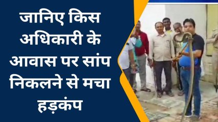 देखिए एडीएम आवास में निकल आया जहरीला किंग कोबरा सांप, देखिए फुफकार