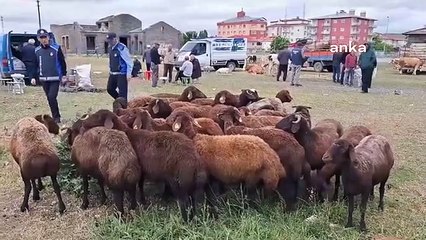 Kars'ta Kurban Pazarları Durgun