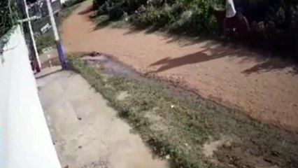 Assaltante montado à cavalo utiliza facão para abordar vítimas; polícia procura suspeito