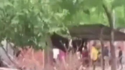 अयोध्या: गौशाले के तोड़फोड़ का वायरल हुआ था वीडियो.. पांच पर मुकदमा हुआ दर्ज