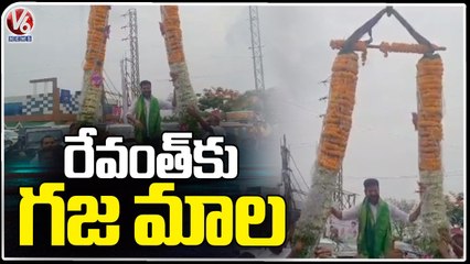 Revanth Reddy Welcome By Huge Garland (Gajamala) At Medchal _ V6 News (1)