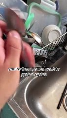 El truco casero de un tiktoker para aliviar la picadura de un mosquito en 90 segundos