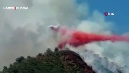 Marmaris yangınından vahşet çıktı: Ceset ateşe verilmiş