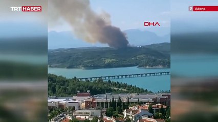 Adana'da ormanlık alanda yangın