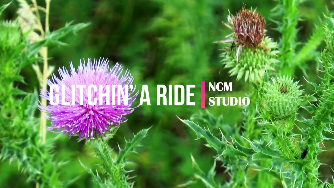 Glitchin’ a Ride - The Whole Other   Alternative Music, Calm Music, Hope Music