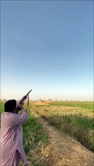 Quand le canard se venge du chasseur