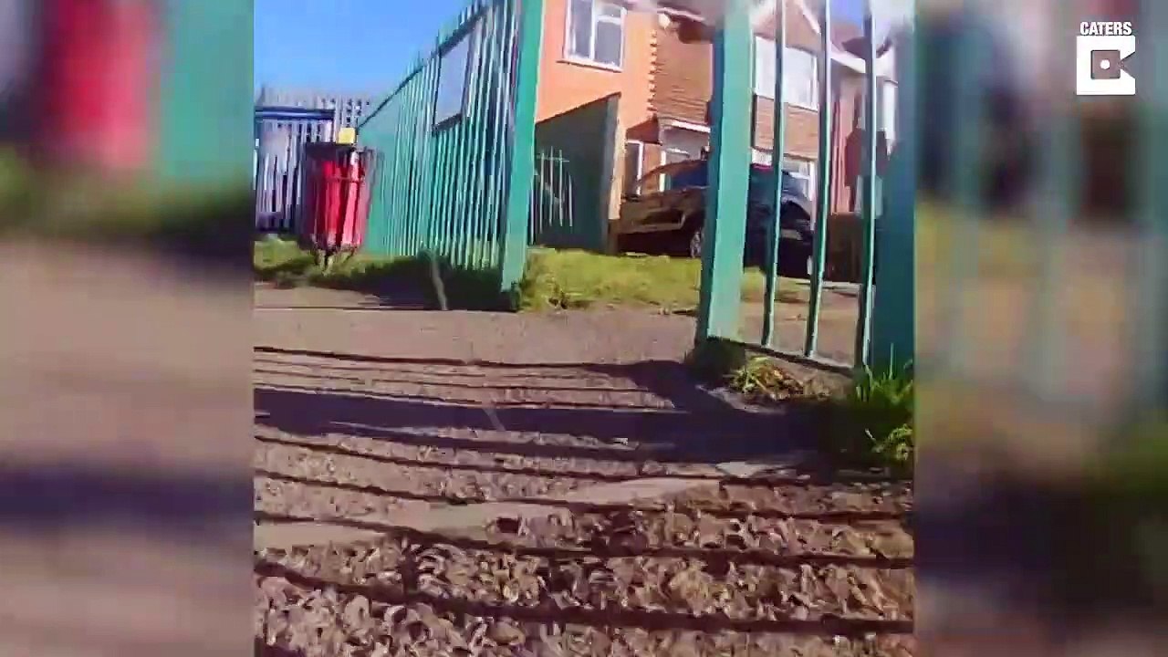 Un chat vient voler le dentier d'un papy