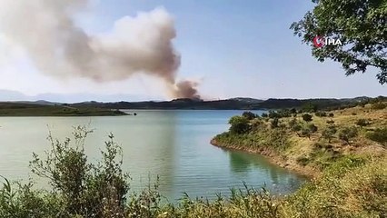 Adana'da orman yangını: Havadan ve karadan müdahale başladı
