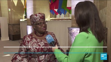 Paris summit on debt and climate: France 24 speaks to World Trade Organization director