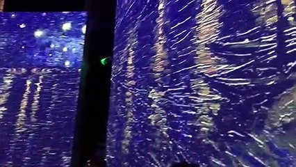 Van Gogh Alive - a huge hit in Brighton