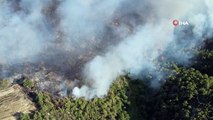 Incendie de forêt à Adana： Les citoyens réagissent à l'incendie