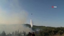 Adana'daki orman yangını kısmen kontrol altına alındı