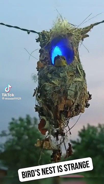 God blessing