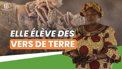 Burkina Faso : Elle élève des vers de terre