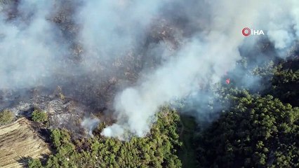 Adana'daki orman yangını kontrol altına alındı