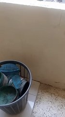 Like share and follow plz