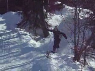 La carotte se pète la gueule