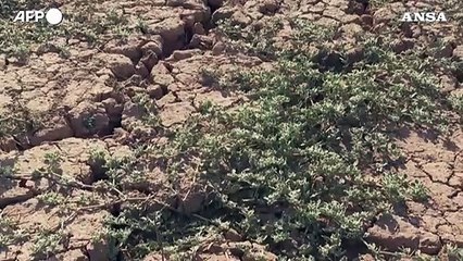 Malattie da zanzare, Italia prima per casi di virus del Nilo