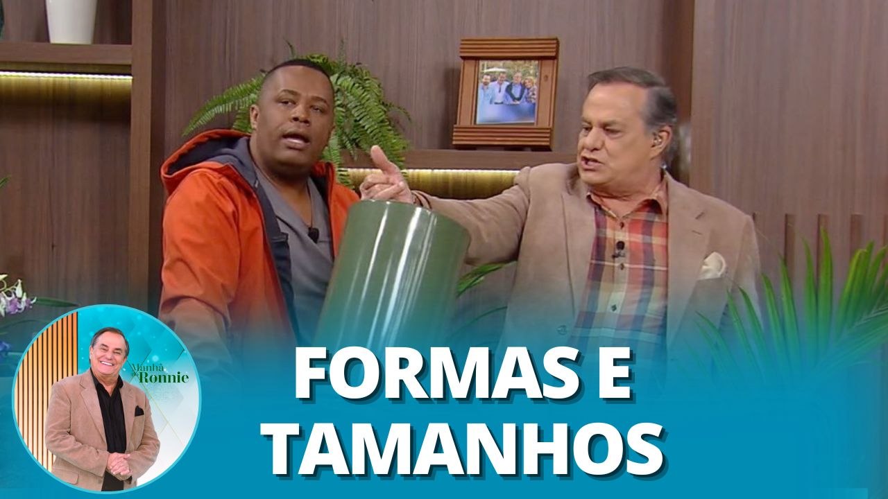 Conheça os tipos certos de vasos para cada planta ou ambiente