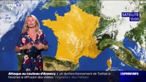 Sandra Larue sur BFM (23/06/2023)