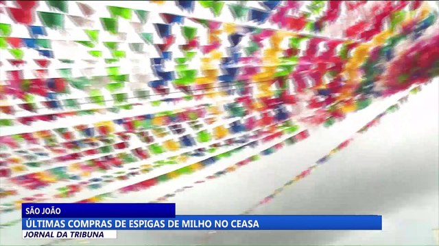 Últimas compras de espigas de milho no Ceasa