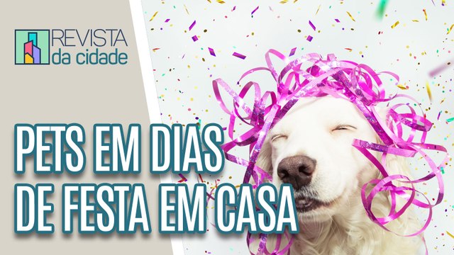 Como manter os pets em dias de festa em casa - Revista da Cidade (23/06/2023)