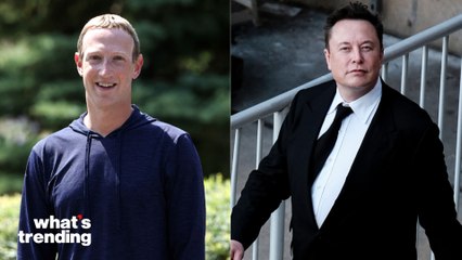 Elon Musk's Weight Biggest Issue With Mark Zuckerberg Cage Fight