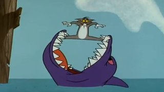Tom and Jerry Show me /Sohaif Group /Sohaif Cartoon /USA. United