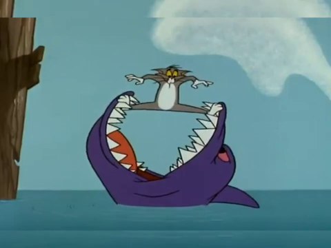 Tom and Jerry Show me /Sohaif Group /Sohaif Cartoon /USA. United