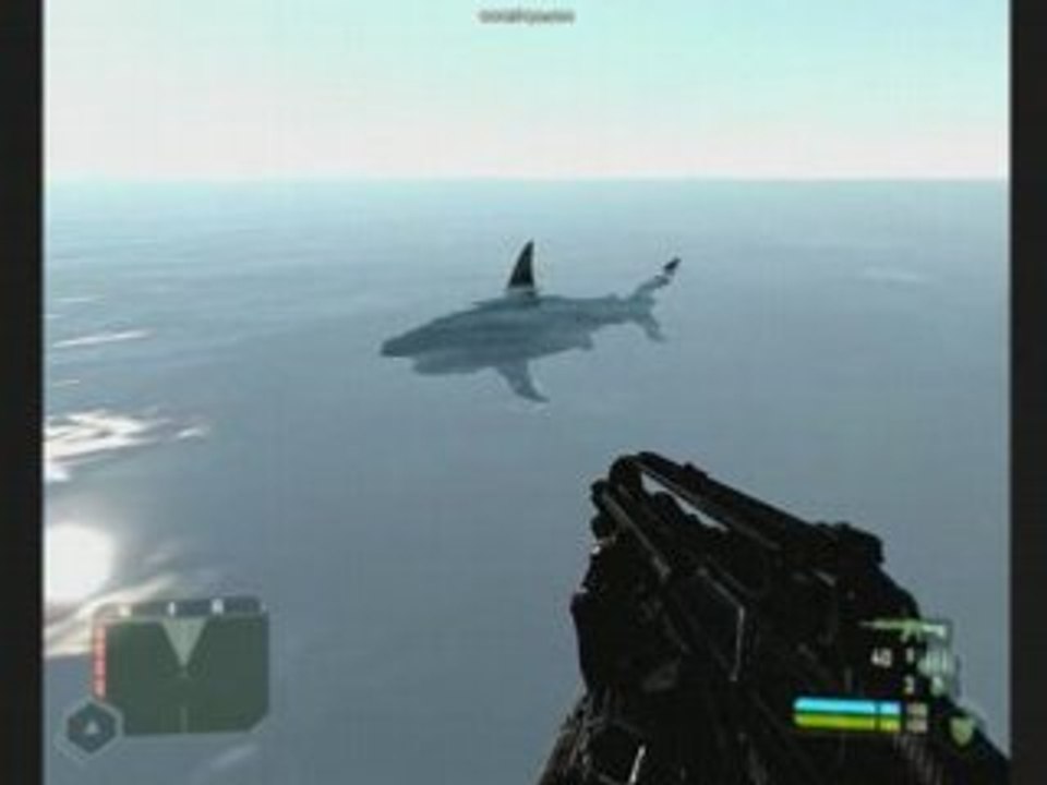 Crysis shark