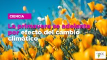 La primavera se adelanta por efecto del cambio climático