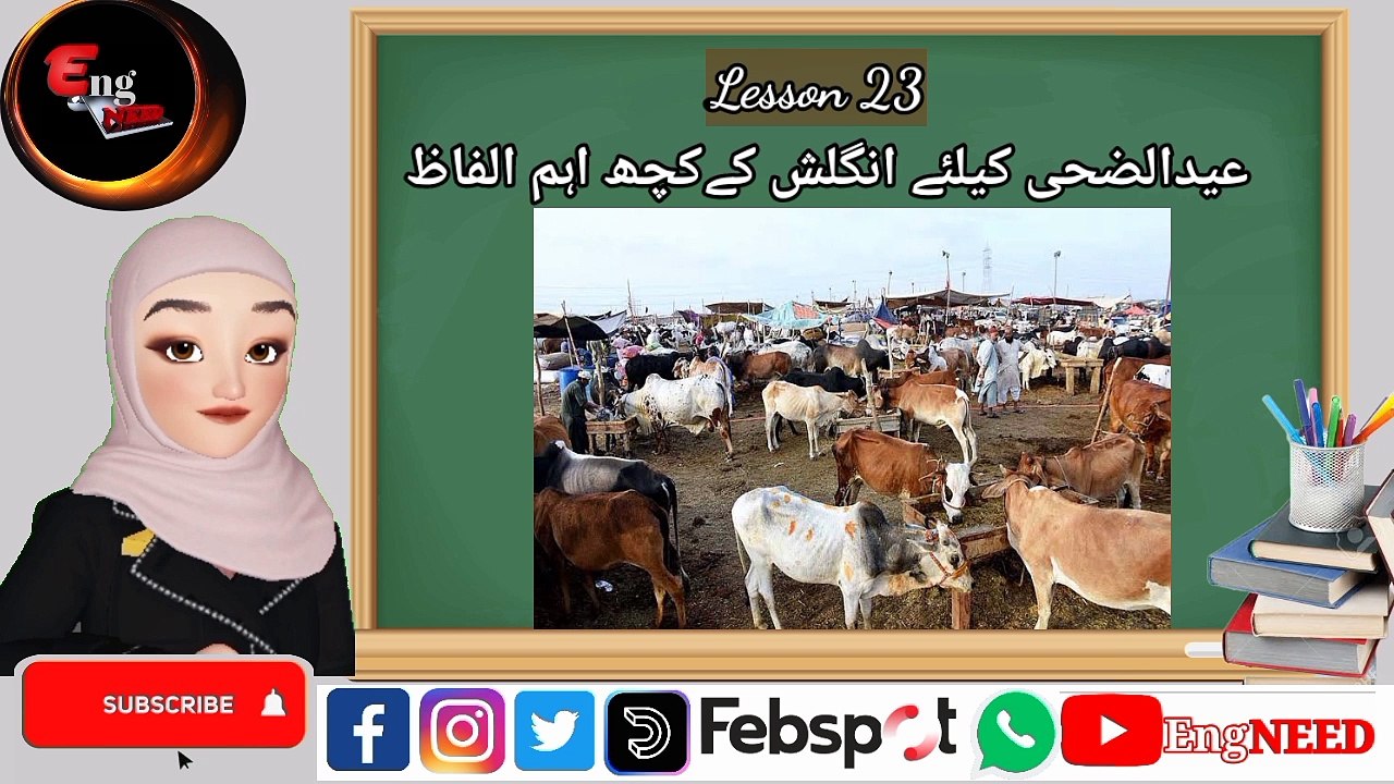 بقر عید کیلئے انگلش اہم الفاظ