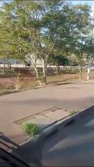 Ônibus articulado pega fogo na Estrutural