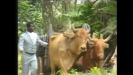 Dona Beija  _ Capítulo 07