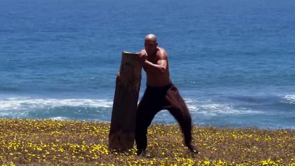 El puño del cóndor Bande-annonce (EN)